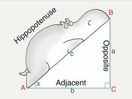 Fun Way To Remember The Parts Of A Right Triangle And The Pythagorean Theorem Math Puns Gcse Math Mental Math