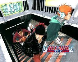 Pin By Karlsefni D Gotanwa On Bleach In 2021 Bleach Anime Bleach Bleach Art