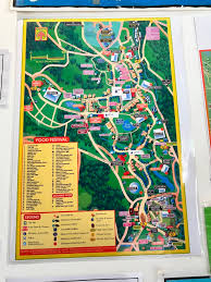 Image result for woodford folk festival