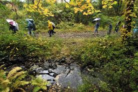 Maybe you would like to learn more about one of these? City Has Surprisingly Scenic Varied Hikes News Telegram Com Worcester Ma