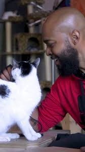 Bees4Vets, (@bees4vets) a nonprofit organization for vets, gives former  military a chance to focus