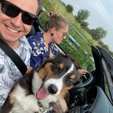 Instagram accounts for aussie dogs?