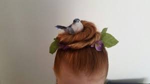 White Bird With Crazy Hair Crazy Hair Bird Nest Crazy Hair Crazy Hair Day At School Bird Nest Hair