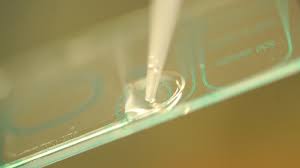 Fruchtbarkeit Europaische Manner Produzieren Weniger Spermien Br Wissen