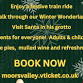 Santa Specials at Moors Valley Railway event image