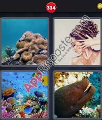 4 immagini 1 parola soluzione livello 301 302 303 304 305. 4 Immagini 1 Parola 334 Soluzioni App Risposte