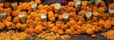 Kassandra met a dying old man who wanted to do one last thing before he departed. Day Of The Dead Flowers In Spanish