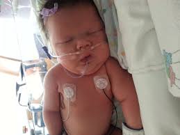 Fundraiser for Eli Carter by Shanice Ladarom : Baby Sophie Liane