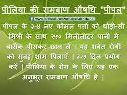 Jaundice Natural Health Tips Health Remedies Health And Fitness Articles