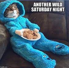 Icanhascheezburger?, new york, new york. Saturday Memes Gifs Imgflip