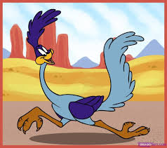 Check spelling or type a new query. Road Runner Wallpapers Wallpaper Cave