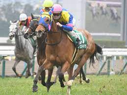 高松宮記念2020の予想となります。 отказаться от подписки на канал アギョウの競馬予想チャンネル? Vhpzqabpyhkizm