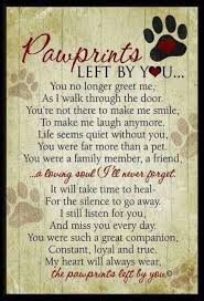 So God Made Dog Pet Loss Grief Sympathy Quotes Pawprints Left By You