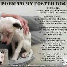 Poem About Fostering Foster Dog Foster Dog Mom Dog Poems