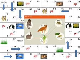Created by a biology instructor, ecologies is a beautifully illustrated card game that's educational enough to feel enriching — it's been used as a teaching tool in science classrooms — with a healthy dose of competitive. Woodland Food Web Board Game Teaching Resources
