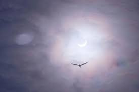 Wie entsteht eine partielle sonnenfinsternis? Wann Ist Die Nachste Sonnenfinsternis In Berlin