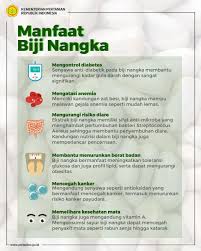 Nutrisi ini bisa membantu menurunkan gula darah. Kementerian Pertanian Ri On Twitter Selamat Pagi Sobatani Buah Nangka Dikenal Sebagai Buah Yang Kaya Nutrisi Tapi Ternyata Bukan Hanya Daging Buahnya Saja Lho Biji Buah Nangka Pun Memiliki Manfaat Bagi Kesehatan
