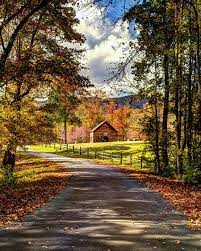 With fields, road, trees and beautiful cloudy sky. Country Road Country Roads Country Scenes Nature Pictures