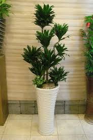 iu d planters plants planter pots