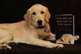 314/365 The Art of Racing in the Rain