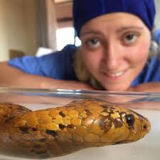 Briner Veterinary Services