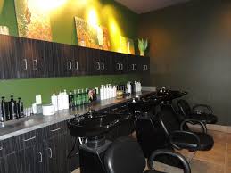 North Canton Salon Owner Who 'Fostered' Outside Stylists Gets 'Adopted' by  Them