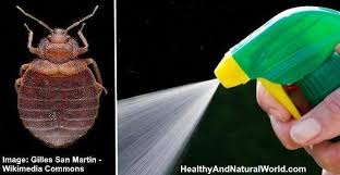 The Best Bed Bug Sprays To Kill Bed Bugs Fast Bed Bug Spray Kill Bed Bugs Bed Bugs