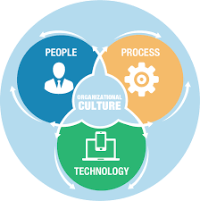 Image Result For People Operations Org Model Technology Business Organization People