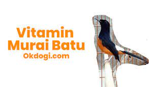 4 Rekomendasi Vitamin Terbaik Untuk Murai Batu Joss Okdogi Com