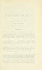 Image result for Crateranthus congolensis