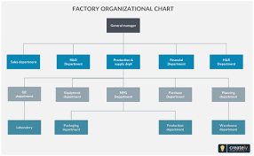 Organizational Chart Template Of Matrix Structure 1024 X 572
