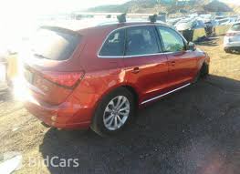 Image result for Volcano Red 2014 Q5