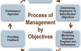 What Is Management By Objectives Mbo Definition Elements Characteristics Process Advantages Limitat Management By Objectives Work Objectives Management