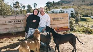 نتیجه جستجوی لغت [luddite] در گوگل