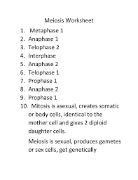 Spindle fibers pull homologous pairs to ends of the cell. Meiosis Worksheet