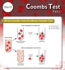 Image result for Direct Coombs