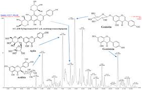 Image result for Eriosema montanum