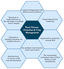 A number of examples of indigenous insects adapting to exotic many rust diseases fall into this category, including fusiform rust of p. Plants Free Full Text Review Of The State Of The Art Of Deep Learning For Plant Diseases A Broad Analysis And Discussion Html