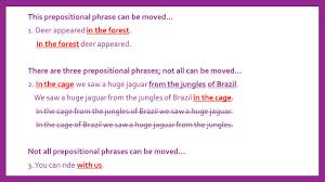 Check spelling or type a new query. Phrases Infinitives And Prepositional Lesson 1 Ppt Download