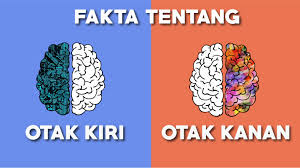 Perbedaan otak kiri dan kanan (foto: Ibsi Education Les Privat Murah Surabaya Sidoarjo Les Terbaik Surabaya Sidoarjo Bimbel Surabaya