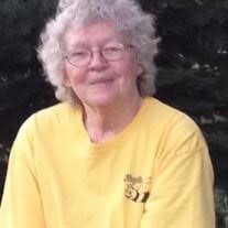 Patricia Ann Larson Obituary (2023)