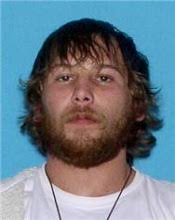 Alabama Law Enforcement Agency Online Services