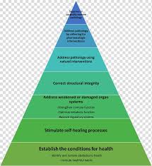 Feudalism Pig Medicine Chart Traditional Chinese Medicine