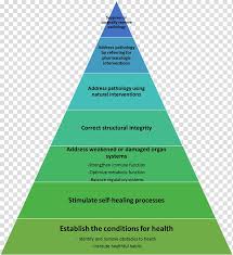 Feudalism Pig Medicine Chart Traditional Chinese Medicine