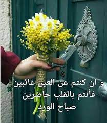 صبــاح مشـرق كـنور الشمس الساطع صبـاح ملـون بألوان الزهــور الجميلـة صبـاح السعـادة والمحبـة الصا good morning images good morning gorgeous good morning photos