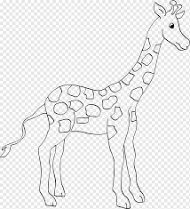 Animal Giraffe Coloring Book Ausmalbild Zoo Giraffe Comics Mammal Animals Png Pngwing