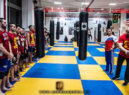 Calea plevnei nr.114 , sect.1, bucharest, 010225, romania. Clubul Sportiv Ciprian Sora Onoare Disciplina Si Respect Clubul Sportiv Ciprian Sora