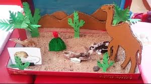 Kids School Project Ideas Types Of Animals Wild Animals Desert Animals D Desert Animals Animal Projects Cute Animal Names