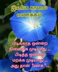 We did not find results for: 25 Tamil Good Morning Ideas In 2021 Good Morning Images Good Morning Quotes Good Morning