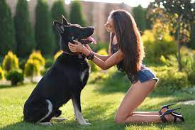 Sexe chien femme